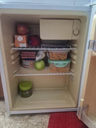 Nevera pequeña FrigeluX