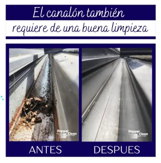 Limpieza Profesional de Cristales