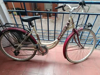 Bicicleta Paseo Mujer