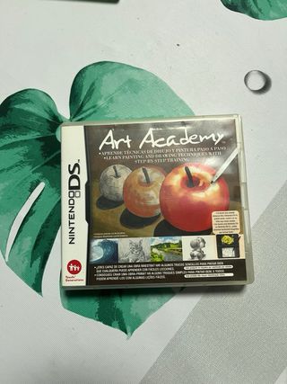 Juego Nintendo DS Art Academy