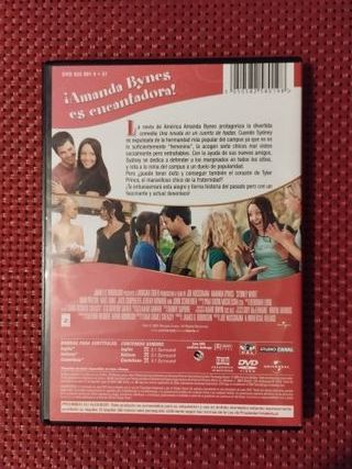 DVD Una Novata en un Cuento de Hadas