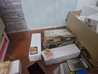 Lotto 250 carte Magic: The Gathering