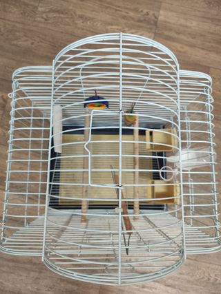 Jaula para ninfas o pájaros medianos
