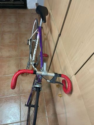 Bicicleta Giant Fixie Vintage