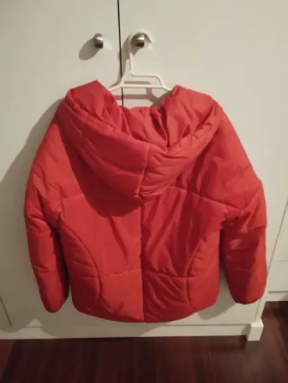 Cazadora Springfield Talla S Roja