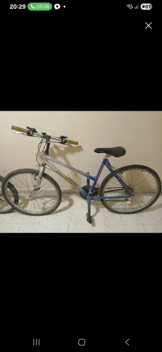 Bicicleta de montaña