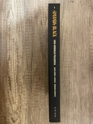 Libro Amanda Black Una Herencia Peligrosa (1)