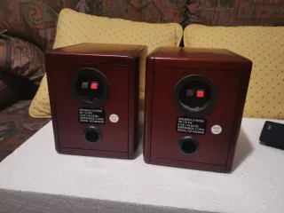 Pareja Altavoces Philips Marrón/Negro