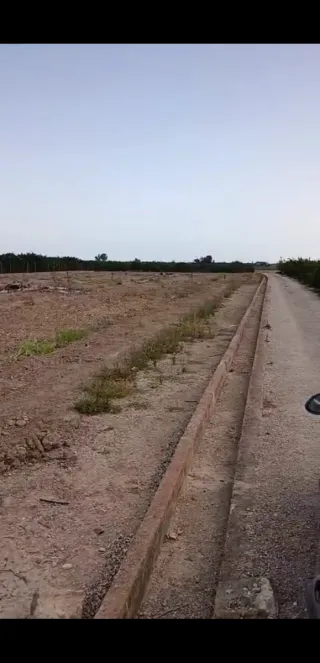 600€ cada una Se alquilan dos parcelas rústicas