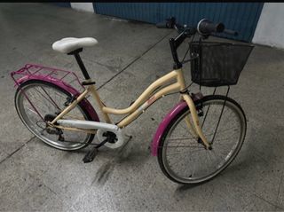 Bicicleta 24 con cesta