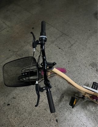 Bicicleta 24 con cesta