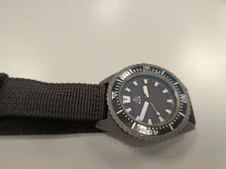 Reloj diver