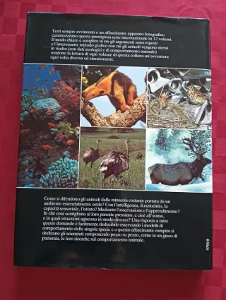 Libro Animali di tutto il mondo