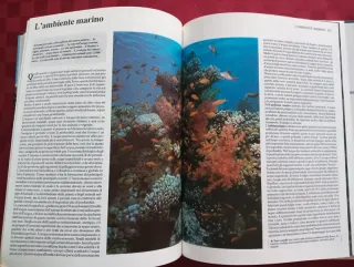 Libro Animali di tutto il mondo