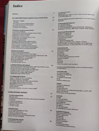 Libro Animali di tutto il mondo