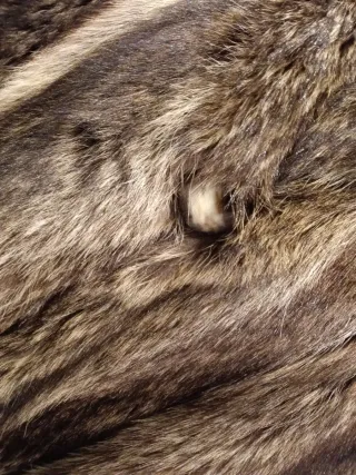 Pelliccia lunga marrone