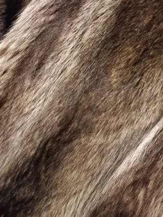 Pelliccia lunga marrone