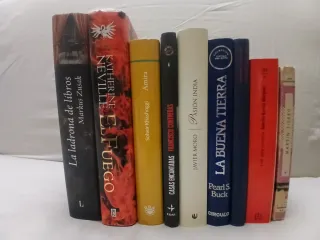 Lote varios libros, no  hago envio