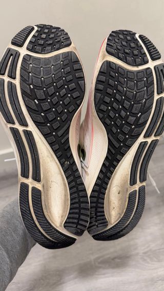 Nike Pegasus 39 Rawdacious