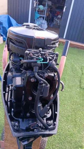 Motor fueraborda Mercury 25 HP