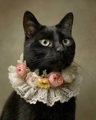 4x12€! Láminas Decorativas