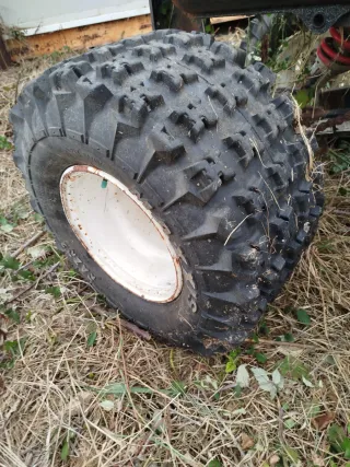 Despiece Polaris Trail Blazer 250 2T NO ENVIO