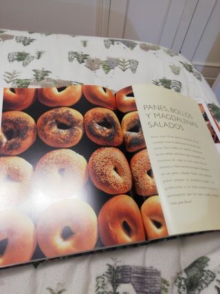 El Libro Esencial de La Cocina Vegetariana (Spa...