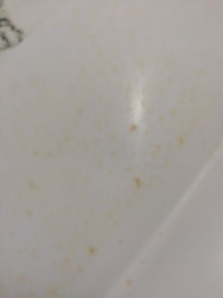 El Libro Esencial de La Cocina Vegetariana (Spa...