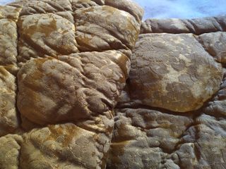 Trapuntina damascata lana pura oro