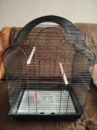 Jaula para agapornis negra y rosa