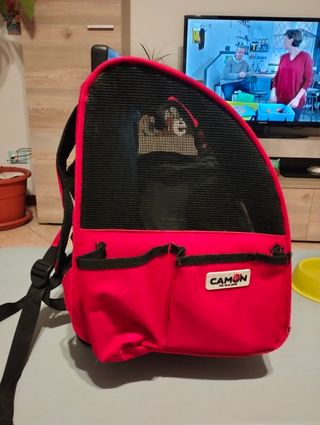 Zaino per cani Camon