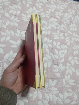 HARRY POTTER (1as EDICIONES 2 LIBROS)