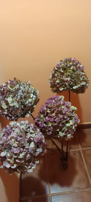 Ramo 4 Hortensias Preservadas