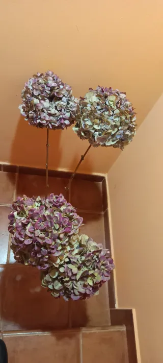 Ramo 4 Hortensias Preservadas