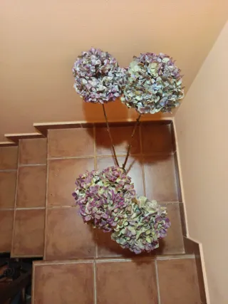 Ramo 4 Hortensias Preservadas