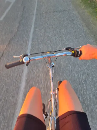 Bicicleta Plegable BH Plata