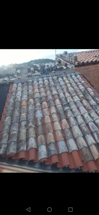Semos especialistas en reparación de tejados en Ge