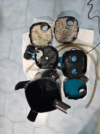 Acuario, todo listo para poner a funcionar