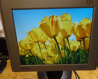 Monitor Samsung 17" LCD VGA