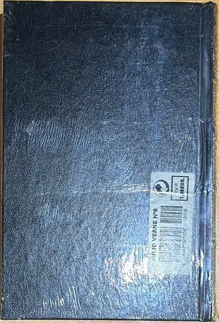 LOS HIJOS DEL CAPITÁN GRANT EN AMÉRICA DEL SUR