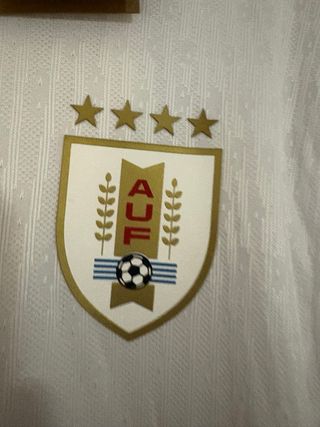 Camiseta Nike Uruguay Talla L