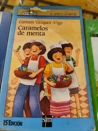 Lote 11 Libros Infantil Juvenil Barco de Vapor