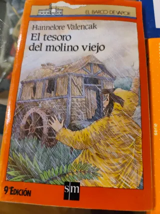 Lote 11 Libros Infantil Juvenil Barco de Vapor