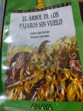 Lote 11 Libros Infantil Juvenil Barco de Vapor