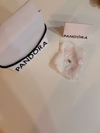 Charm Pandora usado 2/3 veces