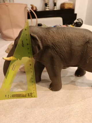 Elefante y Oso Gigantes Juguetes