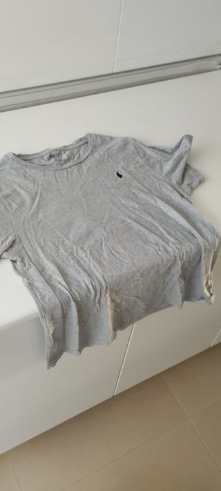 Camiseta Polo Ralph Lauren Verde y gris