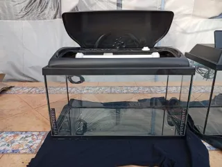 3 Peceras y 3 Terrarios con Accesorios