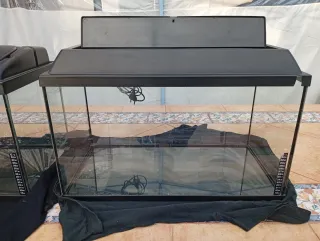 3 Peceras y 3 Terrarios con Accesorios