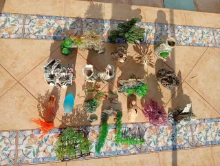 3 Peceras y 3 Terrarios con Accesorios